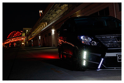 ANH/GGH/ATH2# ALPHARD