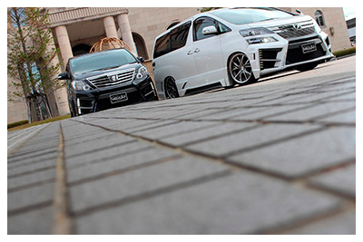 ANH/GGH/ATH2# ALPHARD