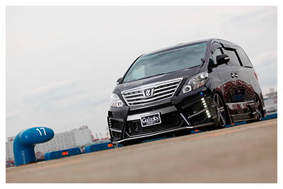 ANH/GGH/ATH2# ALPHARD